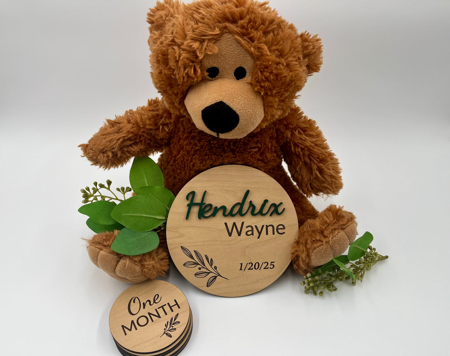 Personalized Baby Milestone Discs | Custom Birth Announcement & 1-12 Month Discs